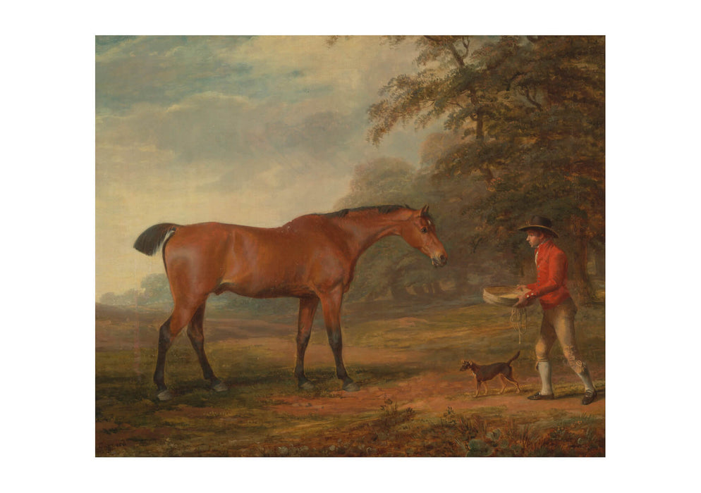 George Garrard - A Bay Horse