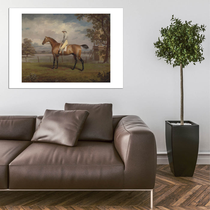 George Garrard - A Racehorse