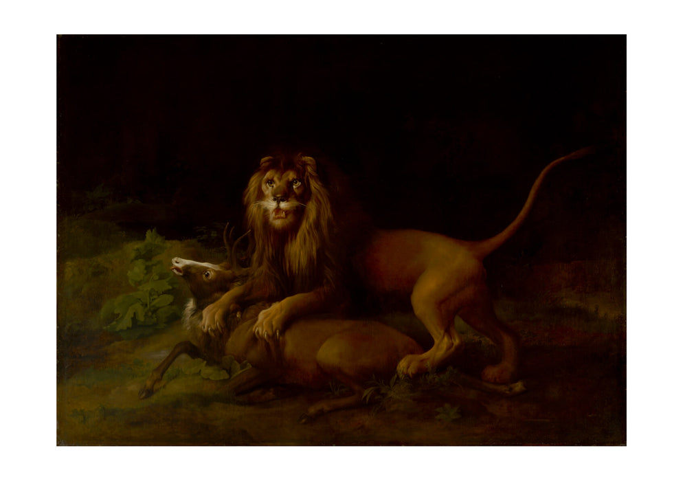 George Stubbs - A Lion Attacking a Stag
