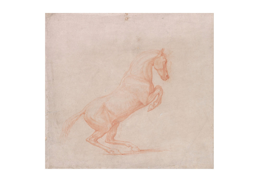 George Stubbs - A Prancing Horse Facing Right