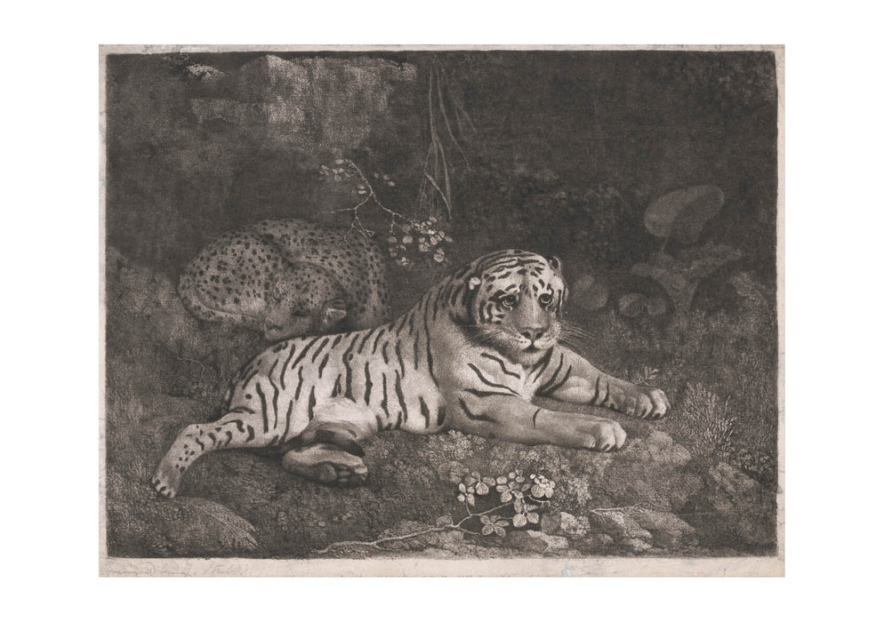 George Stubbs - A Tiger and a Sleeping Leopard