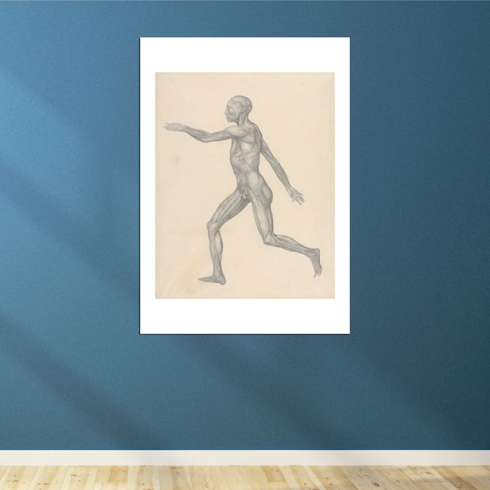 George Stubbs - Anatomical Structure of A Body Man