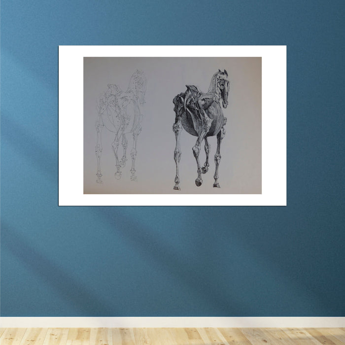 George Stubbs - Anatomy of the Horse