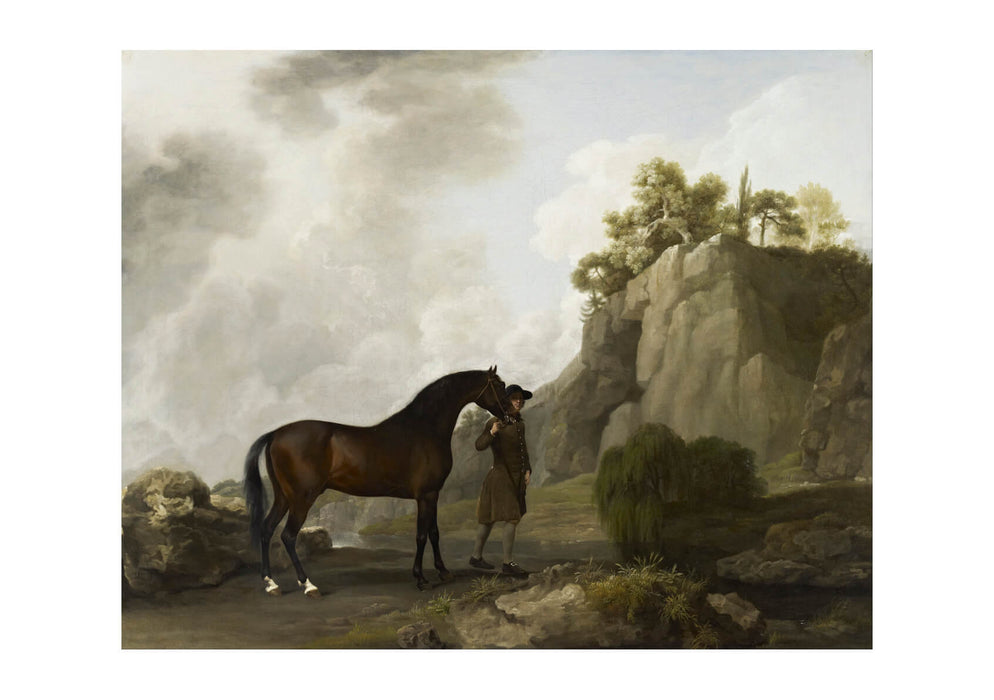 George Stubbs - Arabian Stallion