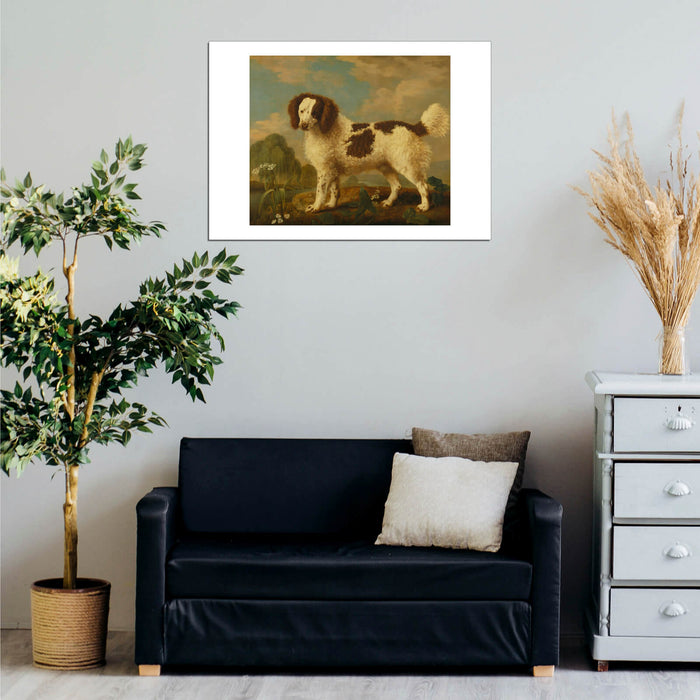 George Stubbs - Brown and White Norfolk or Water Spaniel
