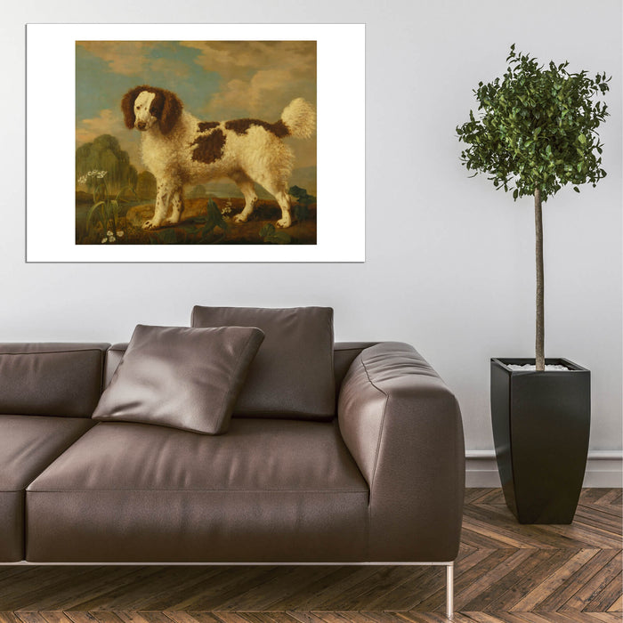 George Stubbs - Brown and White Norfolk or Water Spaniel