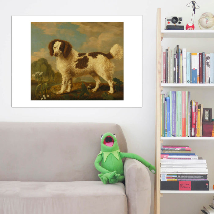 George Stubbs - Brown and White Norfolk or Water Spaniel