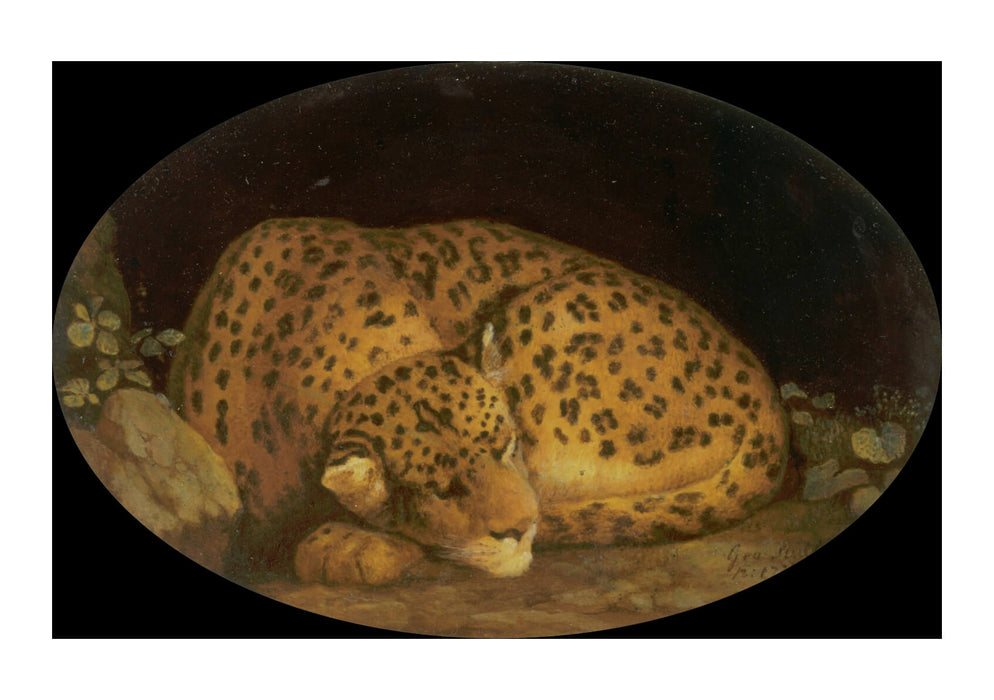 George Stubbs - Sleeping Leopard