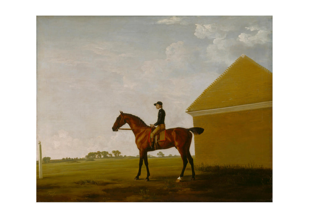 George Stubbs - Turf with Jockey up at Newmarket