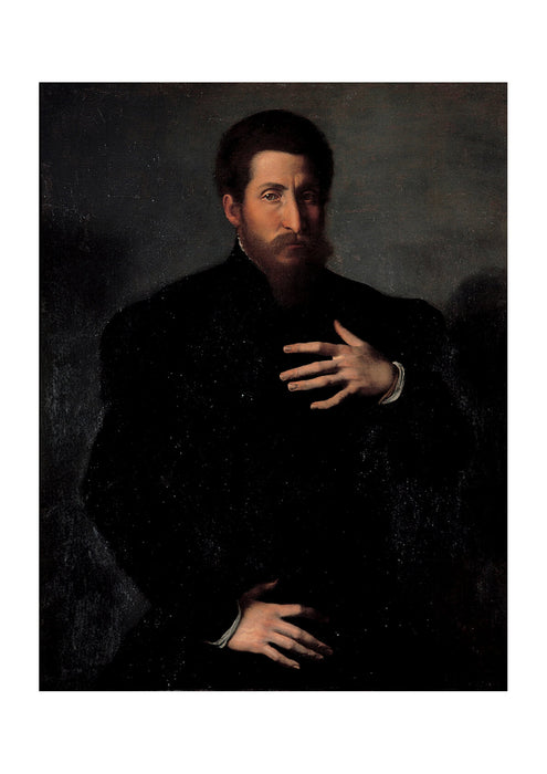 Girolamo Da Carpi - Portrait Of A Virile Man