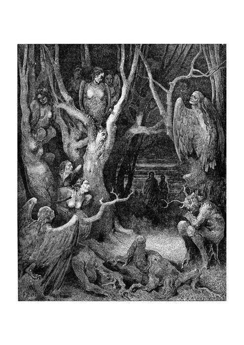 Gustave Doré - Dante's Inferno - Forest Of Suicides