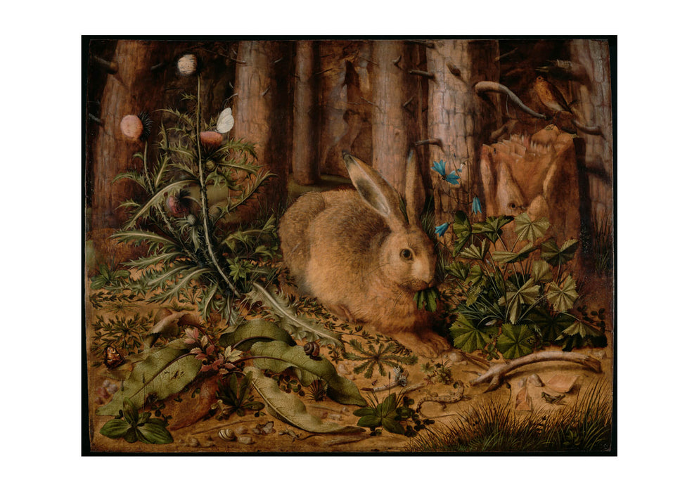 Hans Hoffmann German - A Hare In The Forest