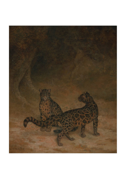 Jacques-Laurent Agasse - Clouded Leopards