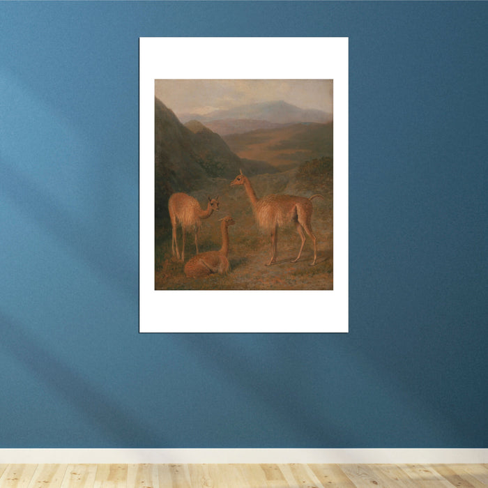 Jacques-Laurent Agasse - Vicunas