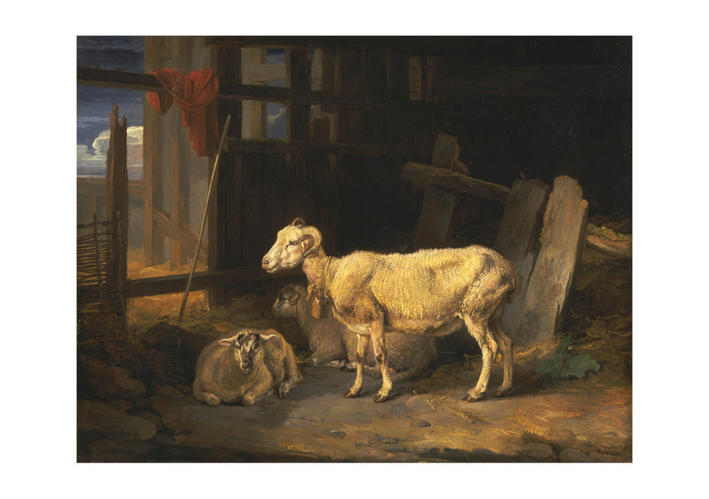 James Ward - Heath Ewe And Lambs