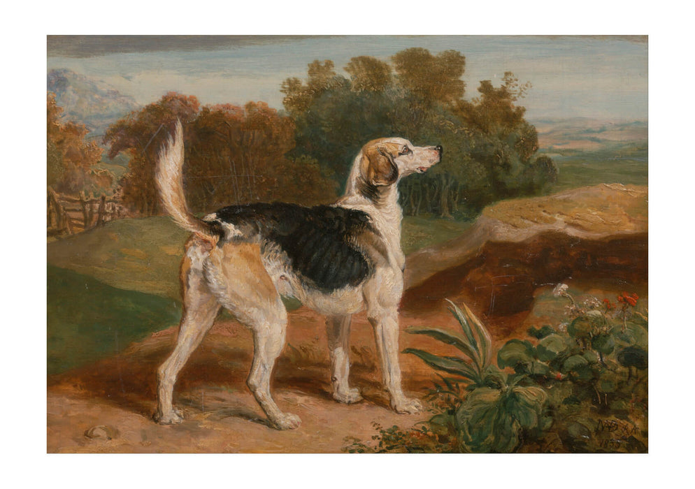 James Ward - Ravager One Of The Lambton Hounds