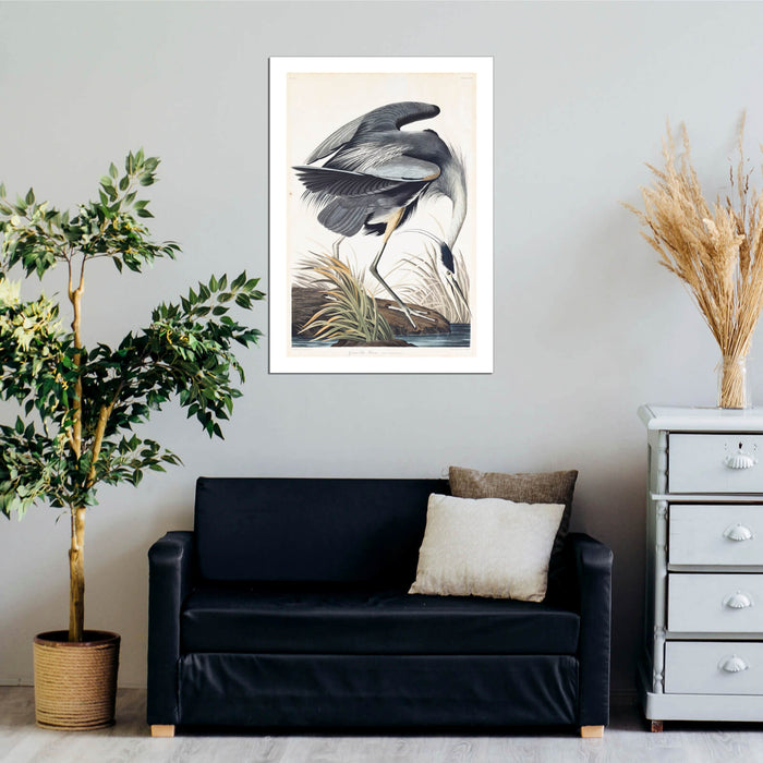 John James Audubon - Great Blue Heron Ardea Herodias