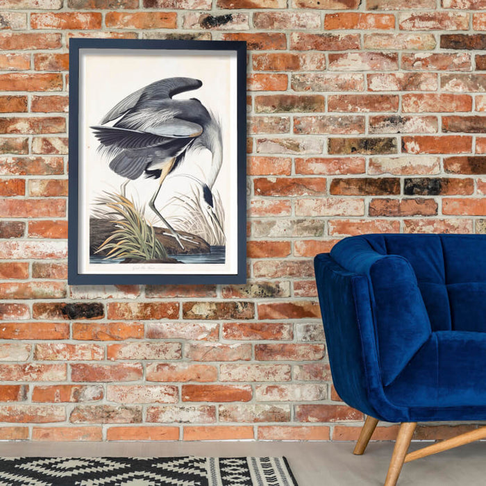 John James Audubon - Great Blue Heron Ardea Herodias