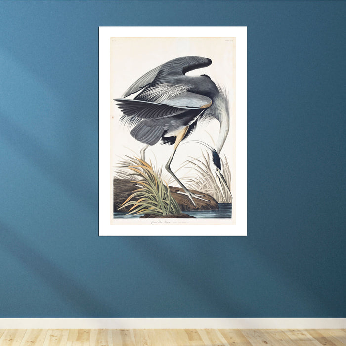 John James Audubon - Great Blue Heron Ardea Herodias