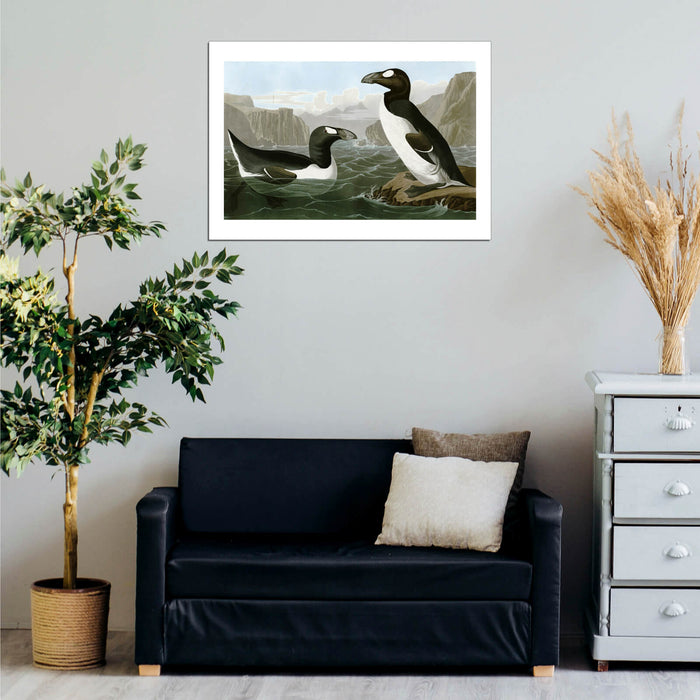 John James Audubon - Pinguinus Impennus