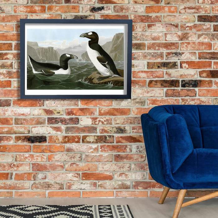 John James Audubon - Pinguinus Impennus