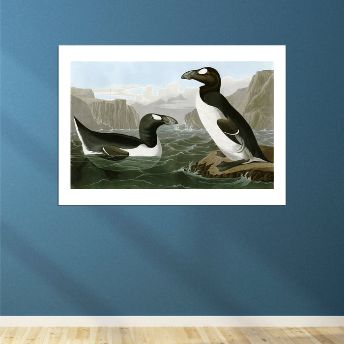 John James Audubon - Pinguinus Impennus