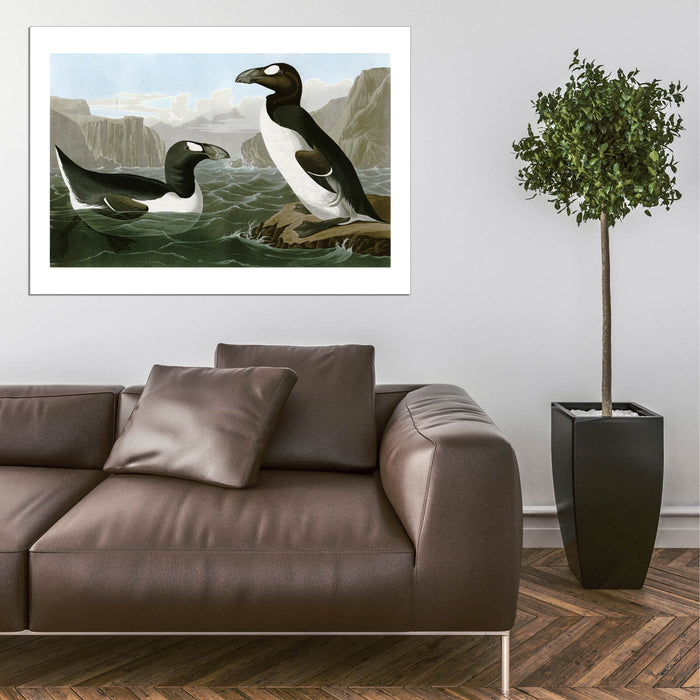 John James Audubon - Pinguinus Impennus