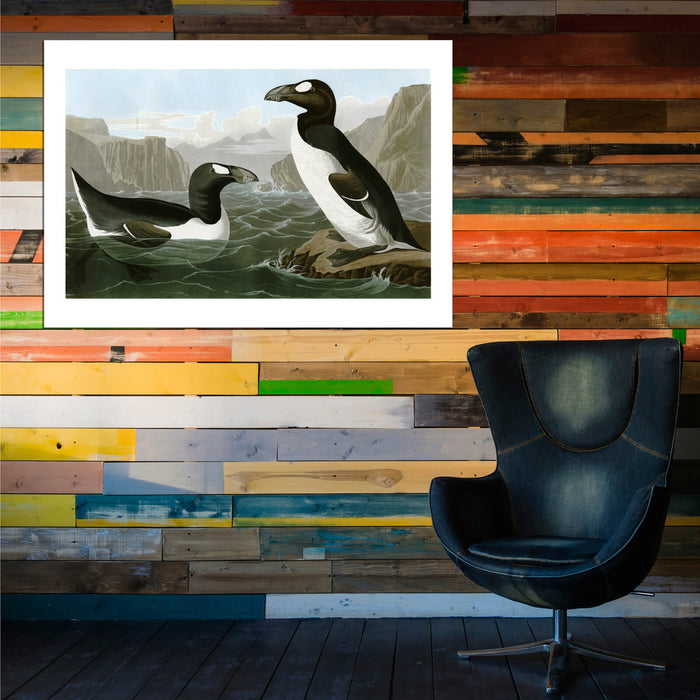 John James Audubon - Pinguinus Impennus