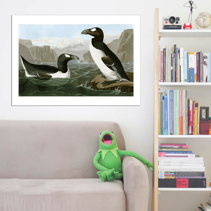 John James Audubon - Pinguinus Impennus