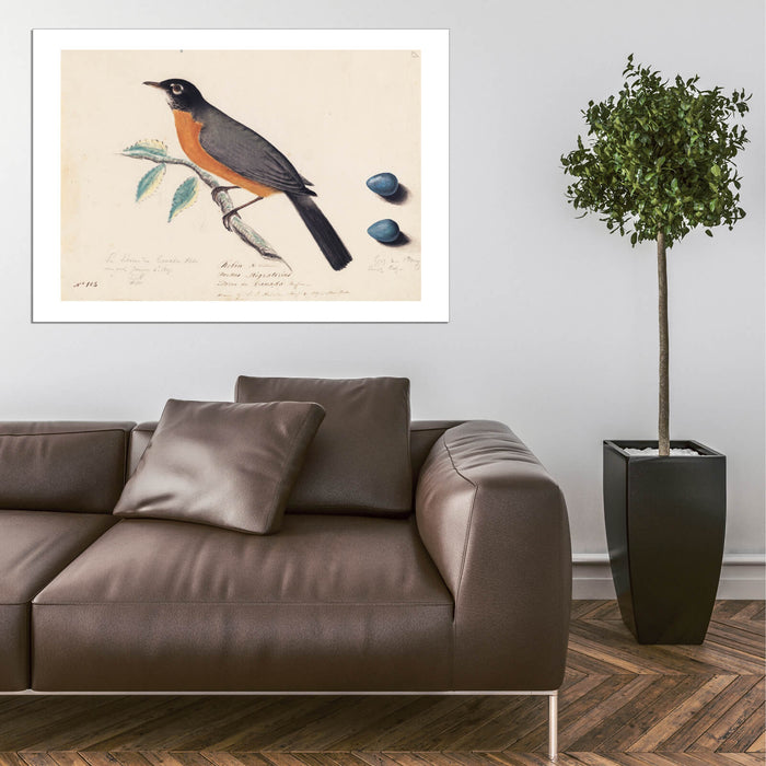 John James Audubon - Robin