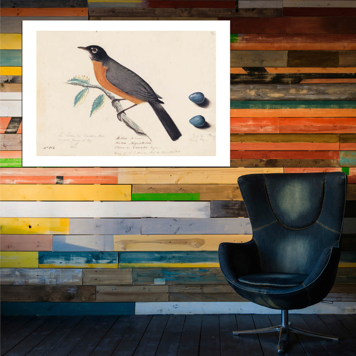 John James Audubon - Robin