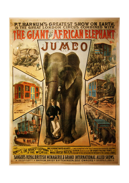 Jumbo Circus Elephant