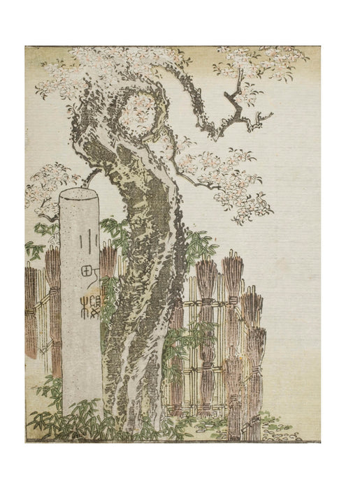 Katsushika Hokusai - A Tree