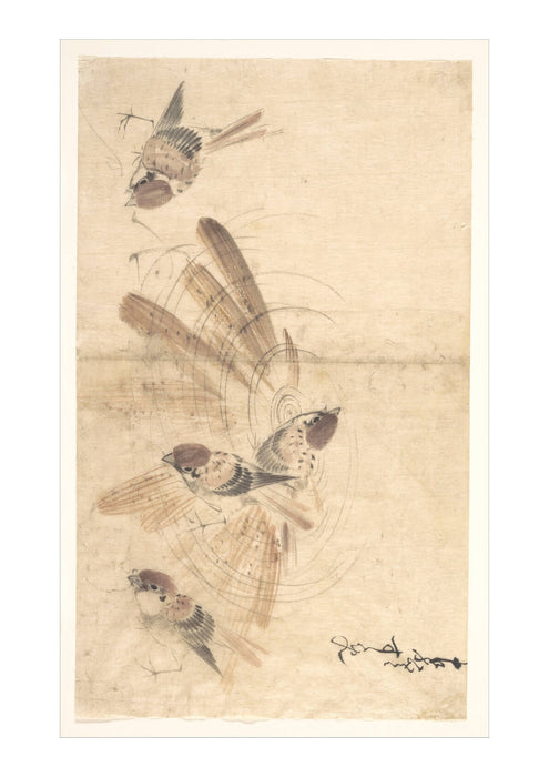Katsushika Hokusai - Birds