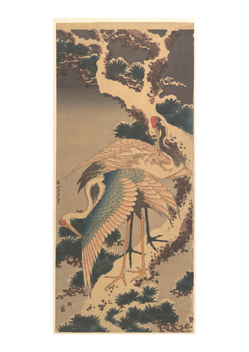 Katsushika Hokusai - Cranes on Branch of Pine