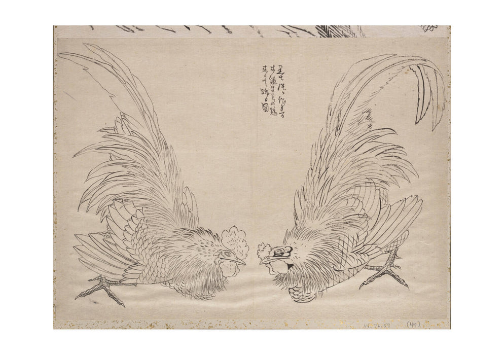 Katsushika Hokusai - Fighting Cocks