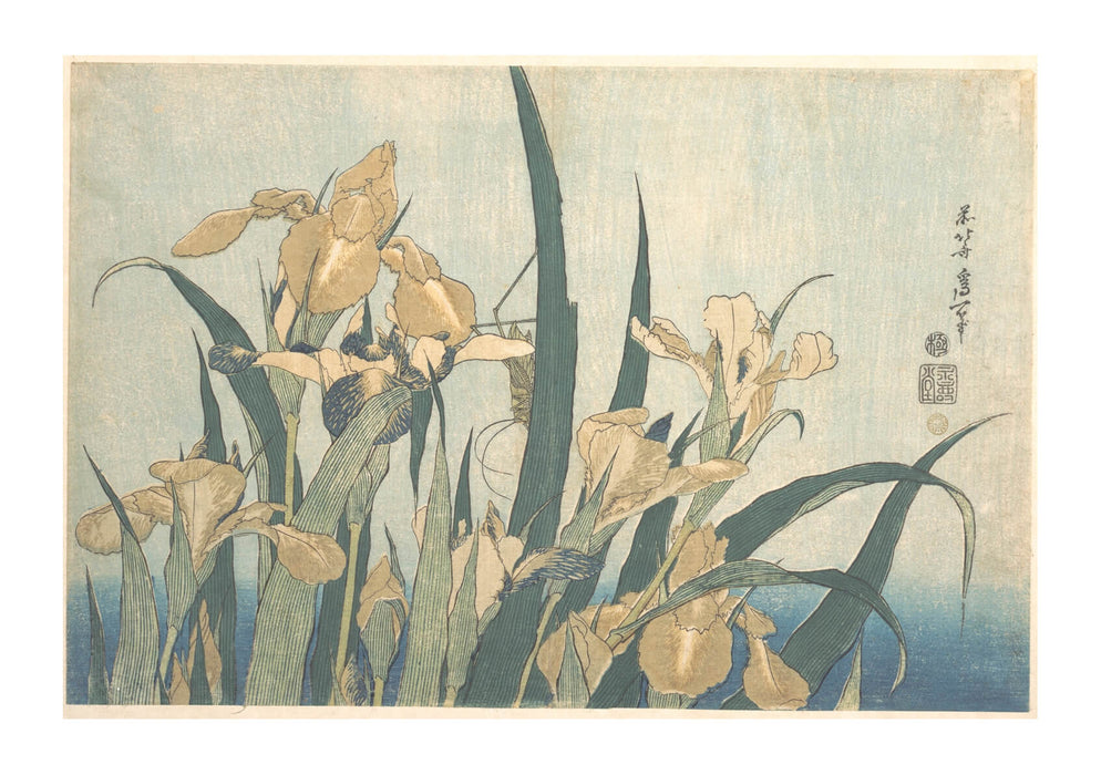 Katsushika Hokusai - Grasshopper & Iris
