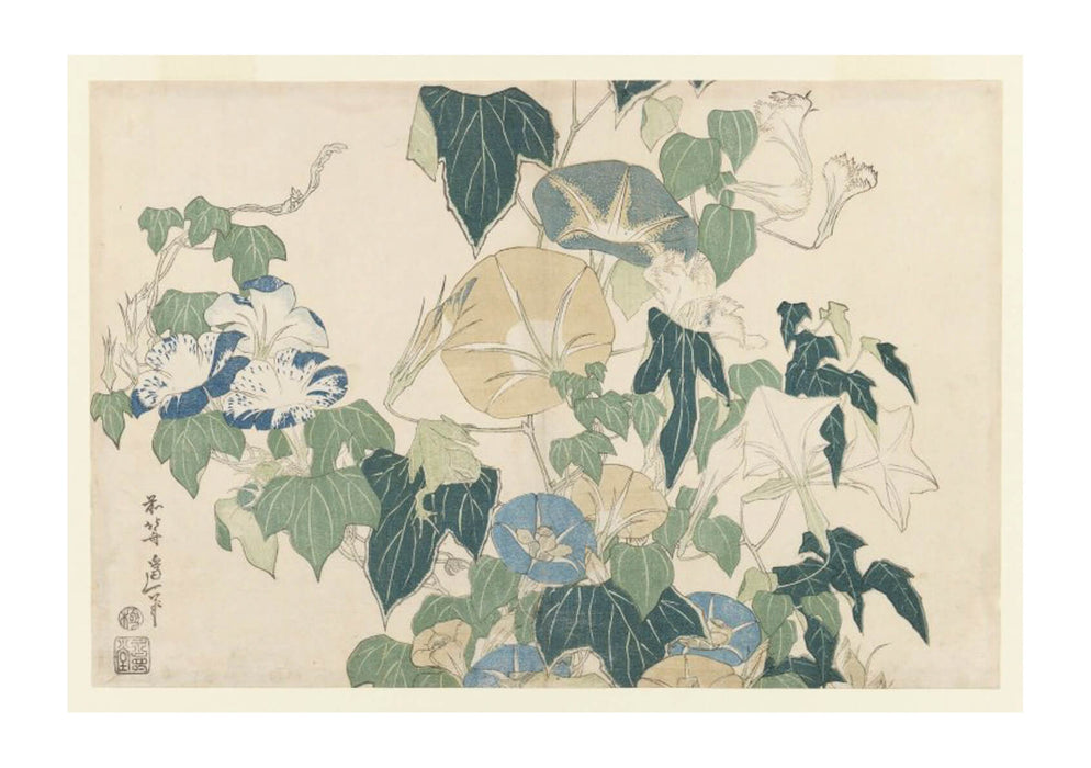 Katsushika Hokusai - Morning Glories in Flowers & Buds