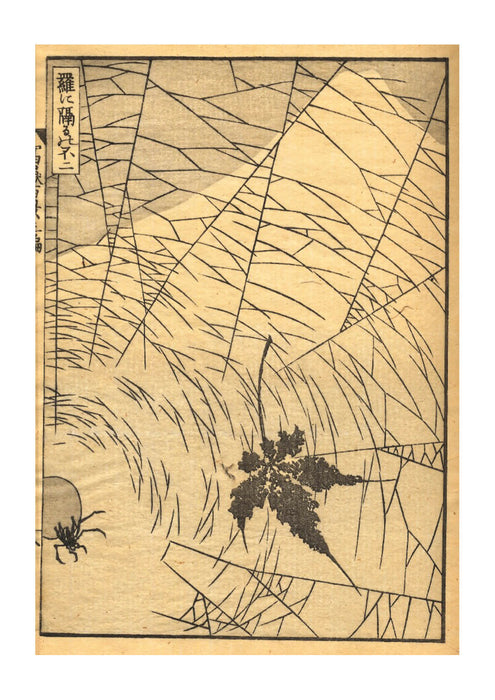 Katsushika Hokusai - Mt Fuji Behind a Spider Net