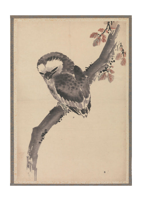Katsushika Hokusai - Owl
