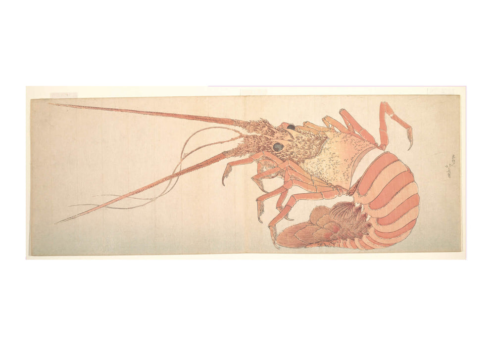 Katsushika Hokusai - Shrimp