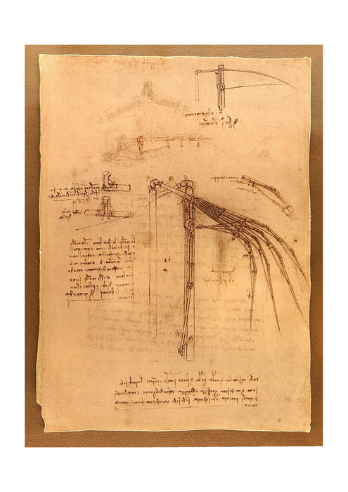 Leonardo Da Vinci - Aile Mobile