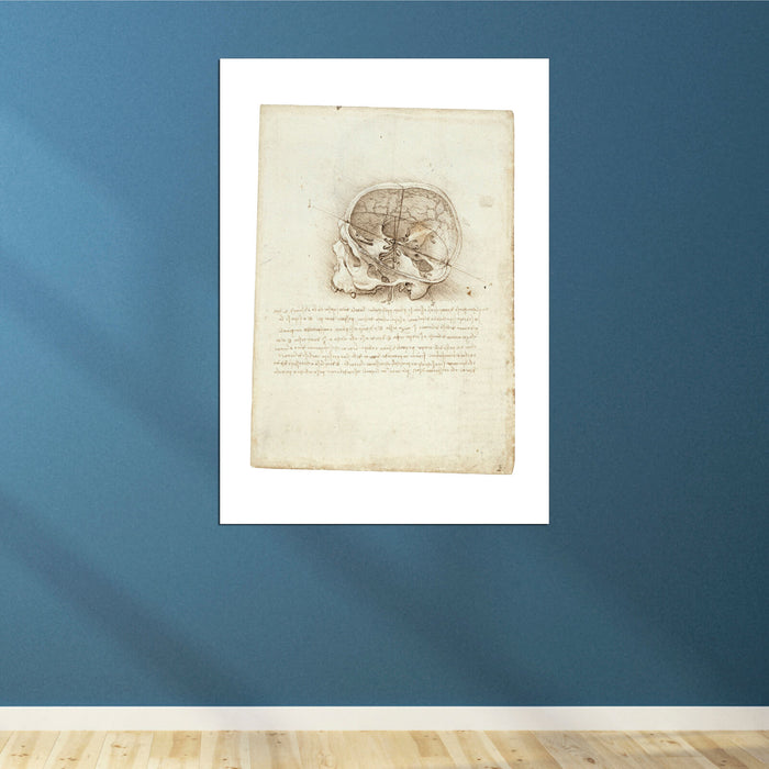 Leonardo Da Vinci - Anatomic Painting Of Skull