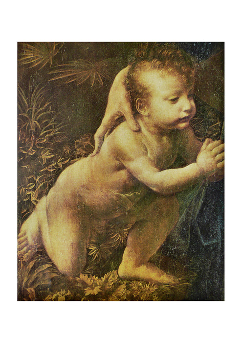 Leonardo Da Vinci - Baby Crop