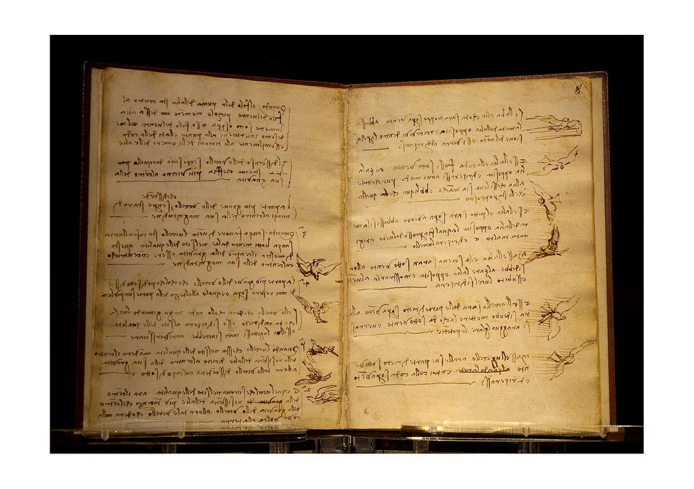 Leonardo Da Vinci - Codex du vol des Oiseaux