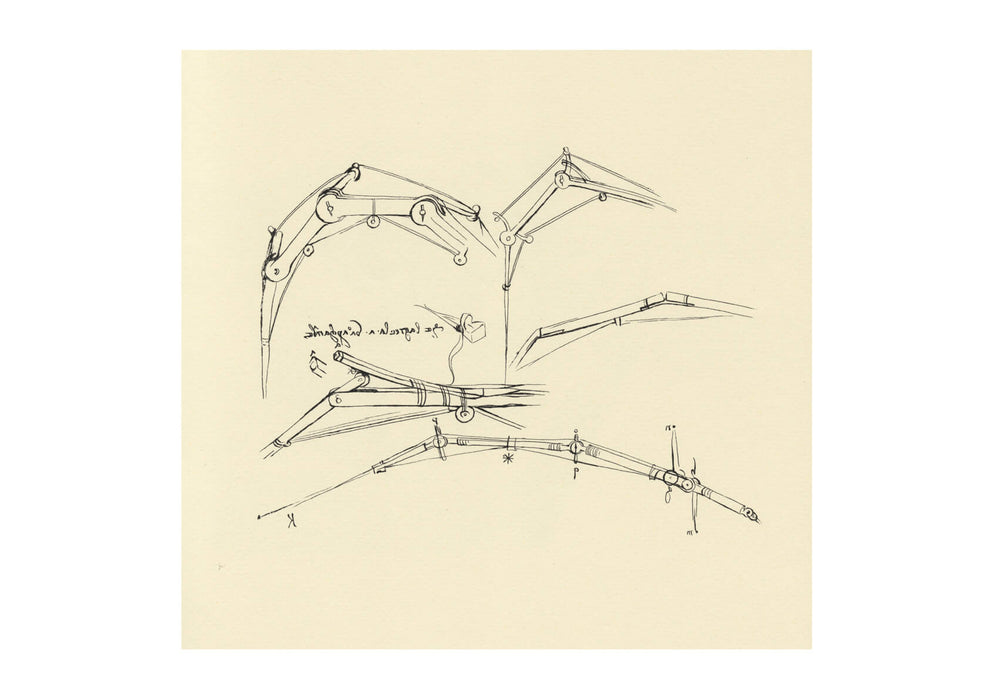 Leonardo Da Vinci - Diagram of a proposed flying machine