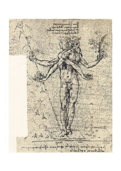 Leonardo Da Vinci - Drawing of Androgyn Corpus with Two Heads