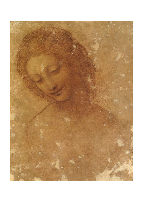 Leonardo Da Vinci - Faded Woman