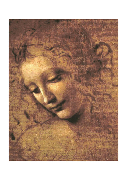 Leonardo Da Vinci - Female Head La Scapigliata 1508