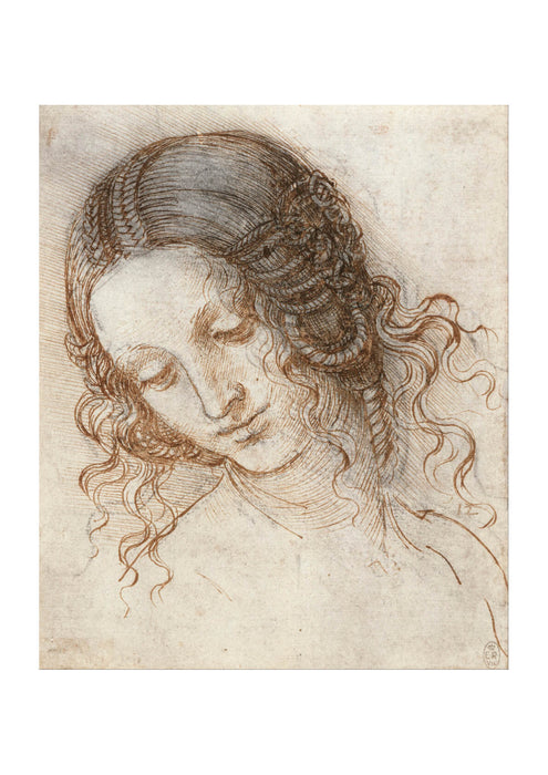 Leonardo Da Vinci - Head of Leda